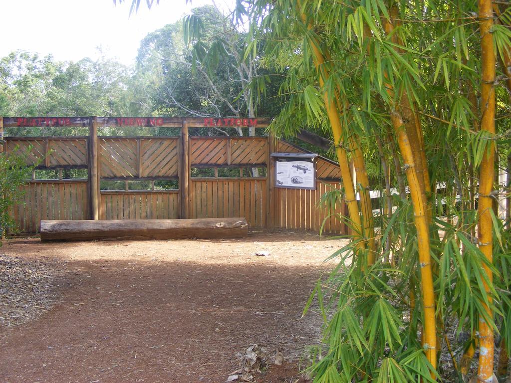 Lake Eacham Tourist Park & Cabins Dış mekan fotoğraf