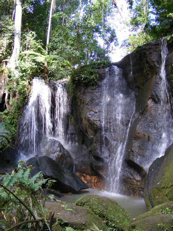 Lake Eacham Tourist Park & Cabins Dış mekan fotoğraf