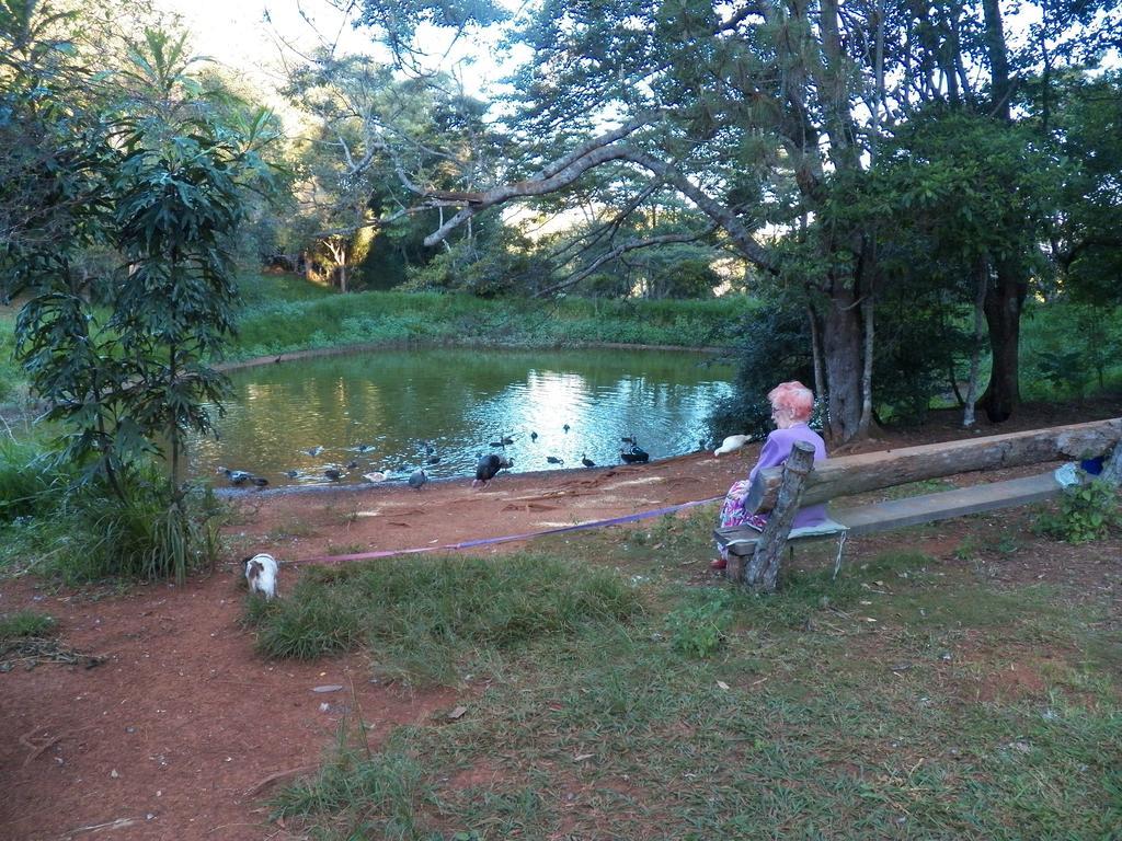 Lake Eacham Tourist Park & Cabins Dış mekan fotoğraf