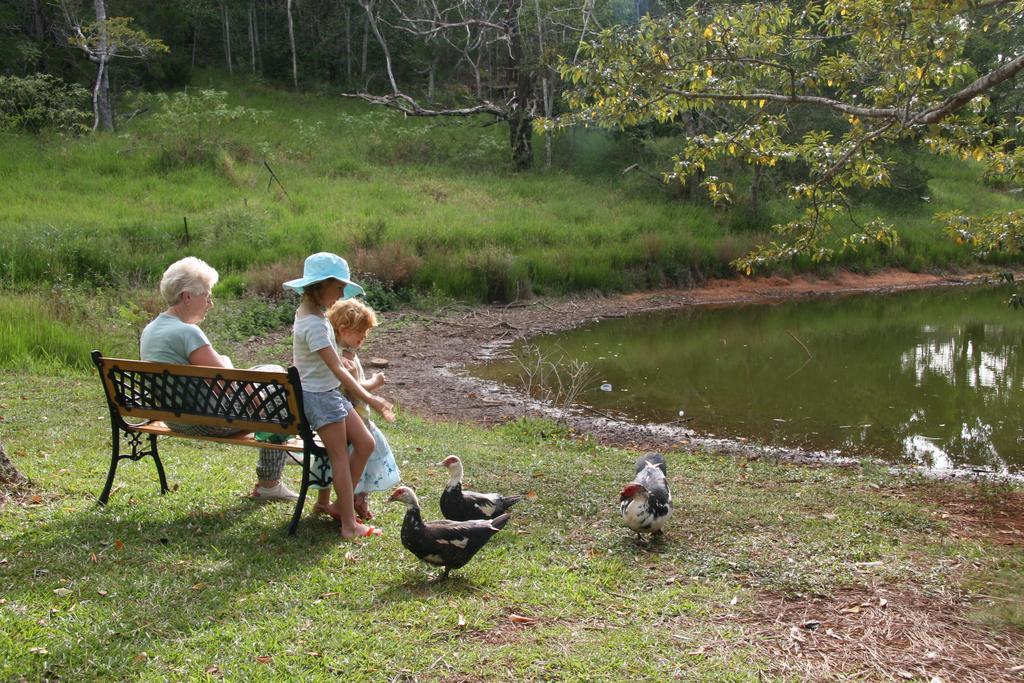 Lake Eacham Tourist Park & Cabins Dış mekan fotoğraf