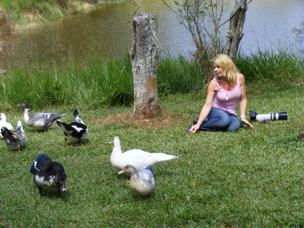 Lake Eacham Tourist Park & Cabins Dış mekan fotoğraf
