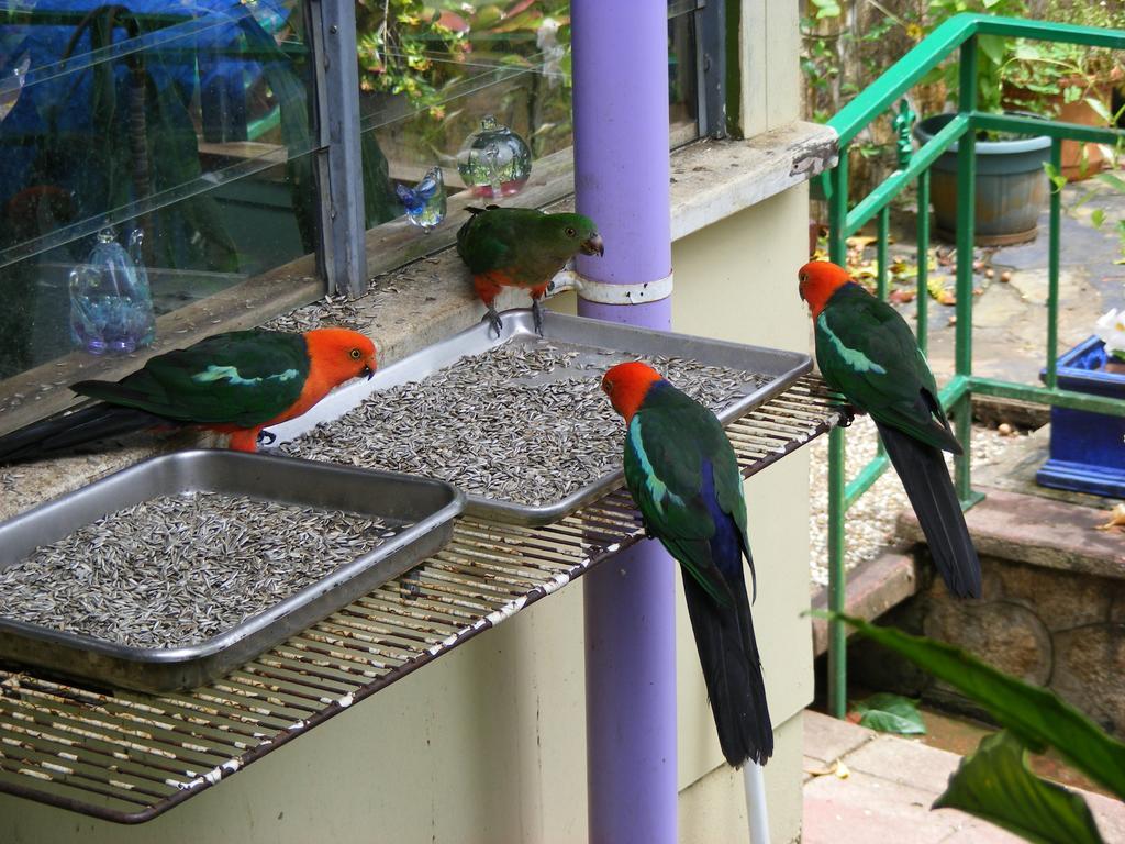 Lake Eacham Tourist Park & Cabins Dış mekan fotoğraf