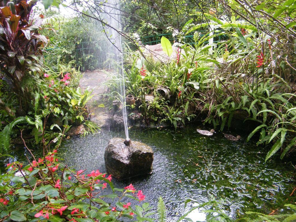 Lake Eacham Tourist Park & Cabins Dış mekan fotoğraf