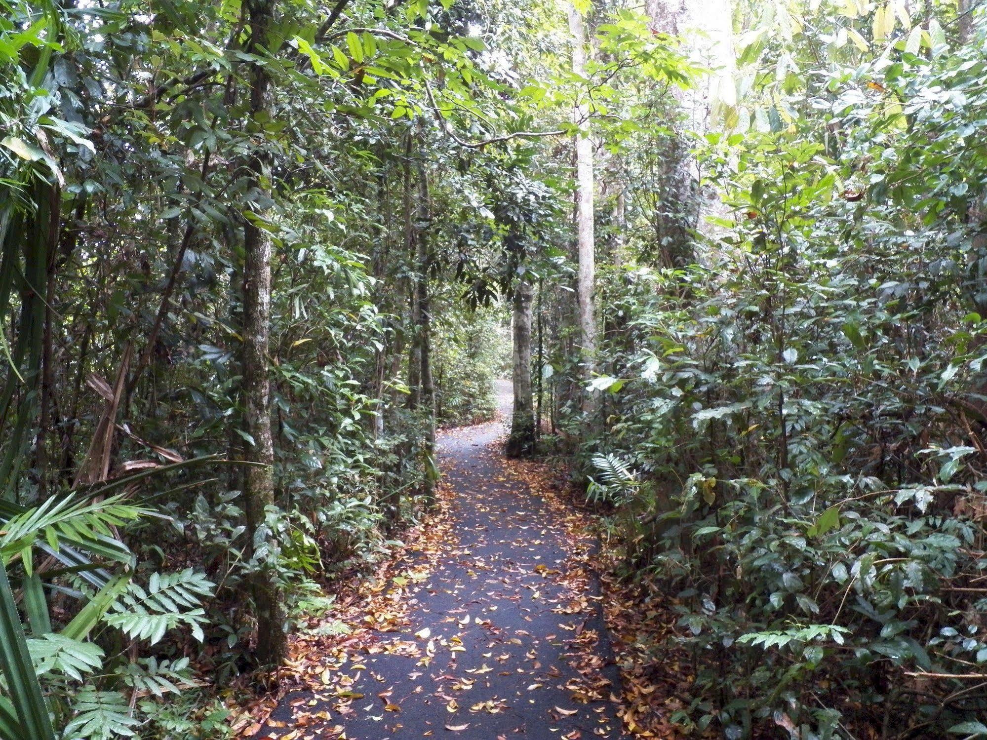 Lake Eacham Tourist Park & Cabins Dış mekan fotoğraf