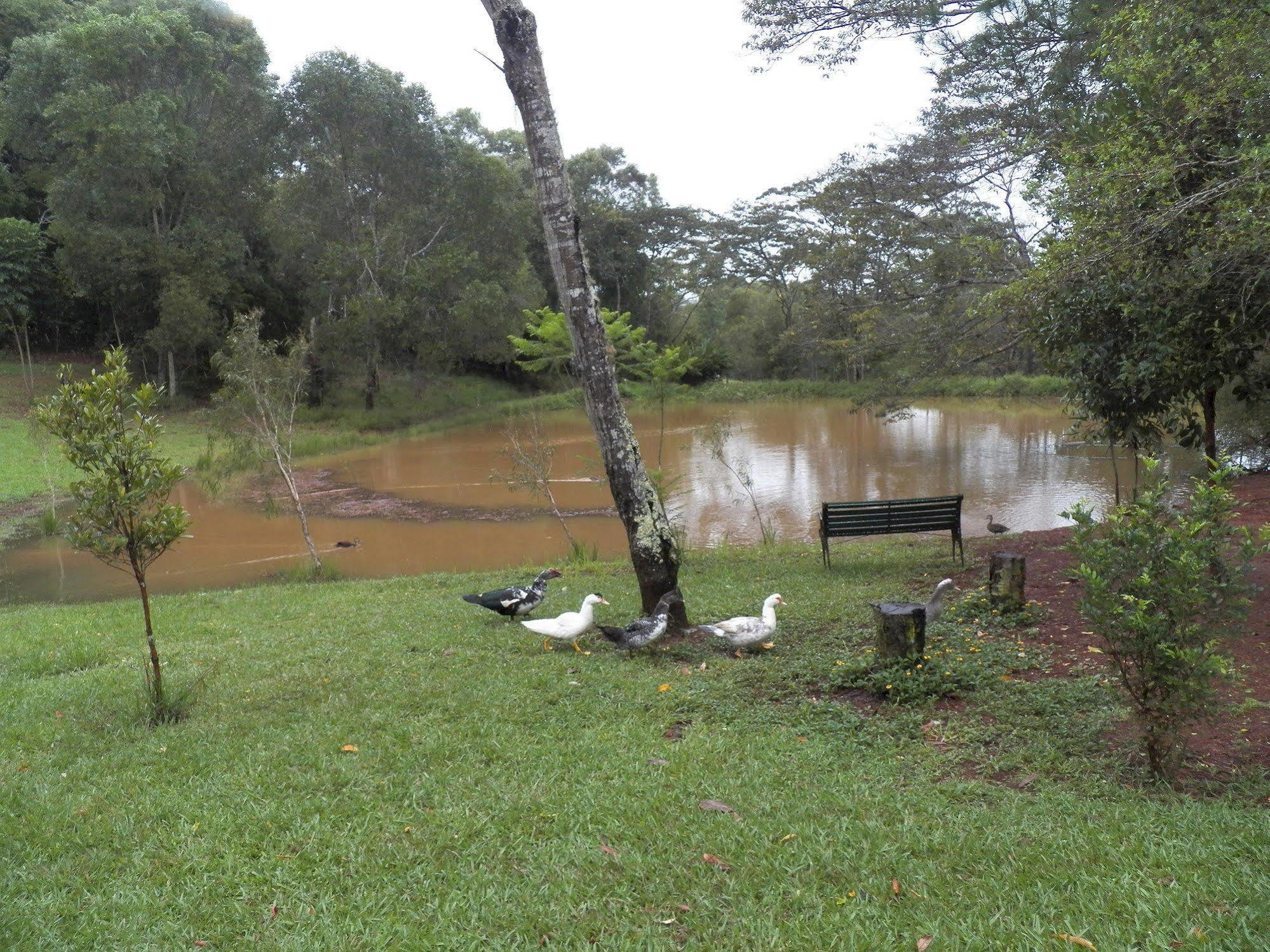 Lake Eacham Tourist Park & Cabins Dış mekan fotoğraf